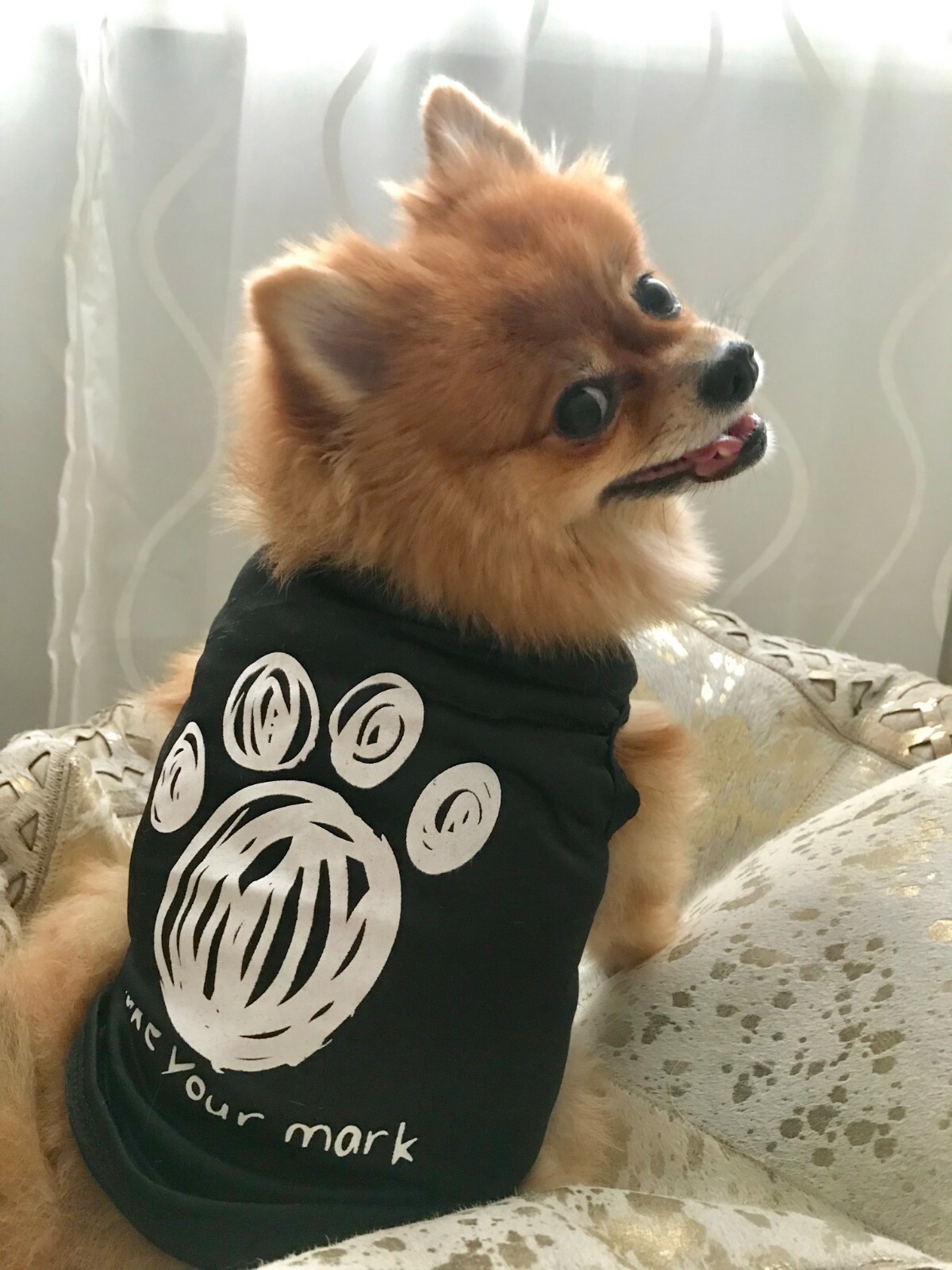 Chihuahua Puppy Sweater Coat Clothes For Small Pet Dog Warm Clothing Apparel USA