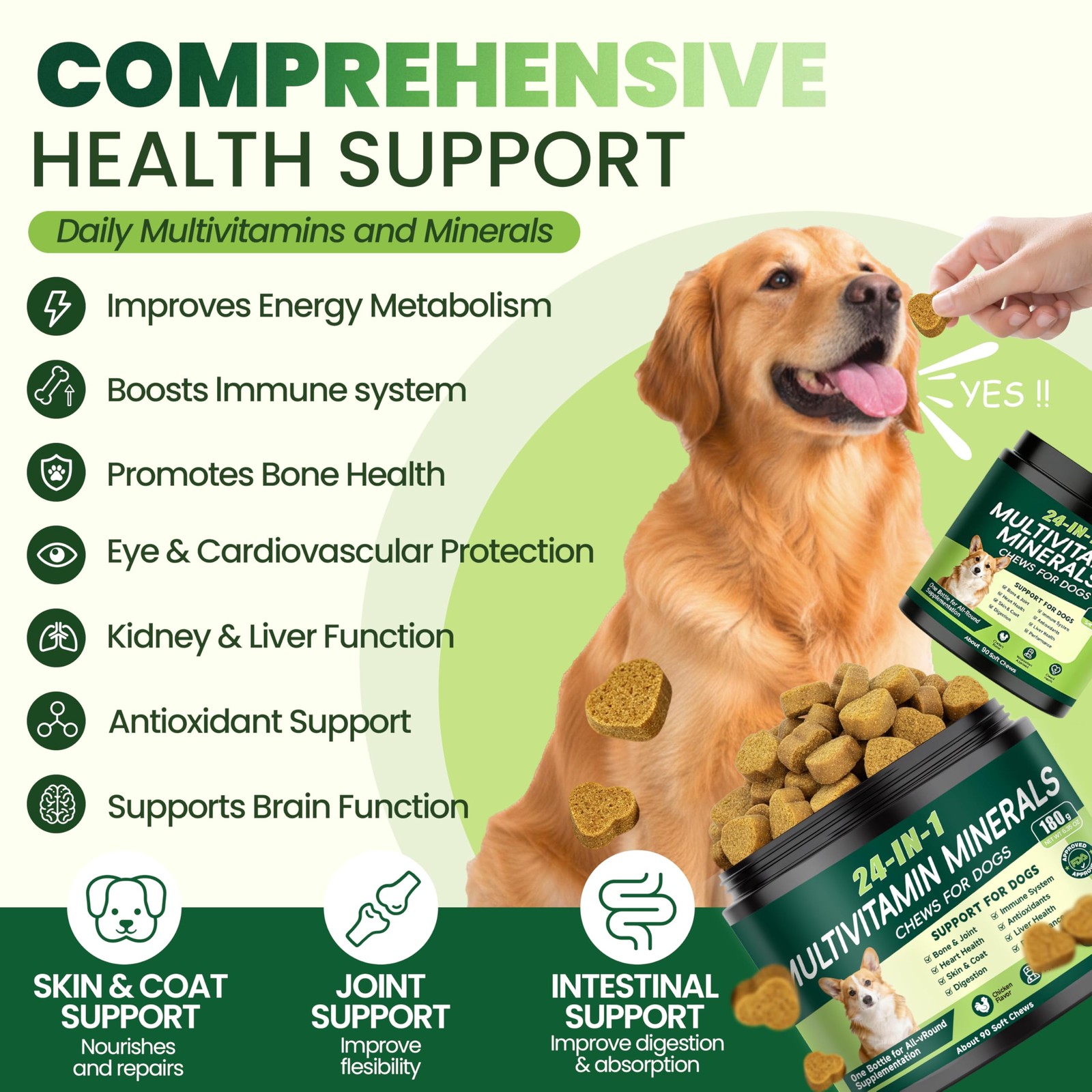 24-in-1 Dog Vitamins and Supplements, Multivitamin Chewable for 90 Chews