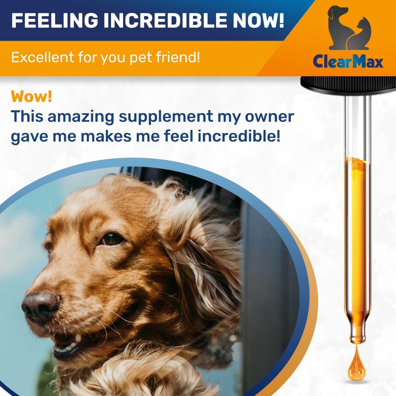 Liquid Dewormer for Dogs & Cats – Puppy & Kitten Safe – Pet Dewormer