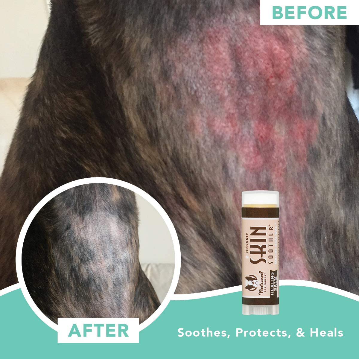 Natural Dog Company Skin Soother All Natural Healing Balm Dogs Relieves NEW
