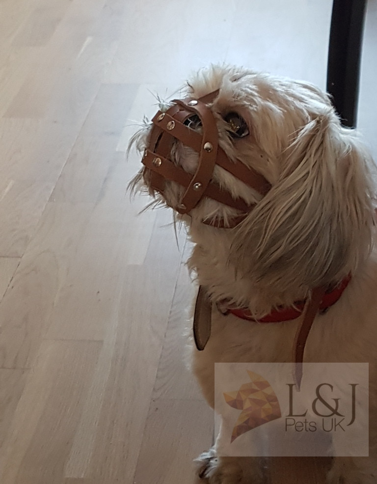Leather Dog Muzzle | Shih Tzu & other flat faced short snouts | Strong, Stylish