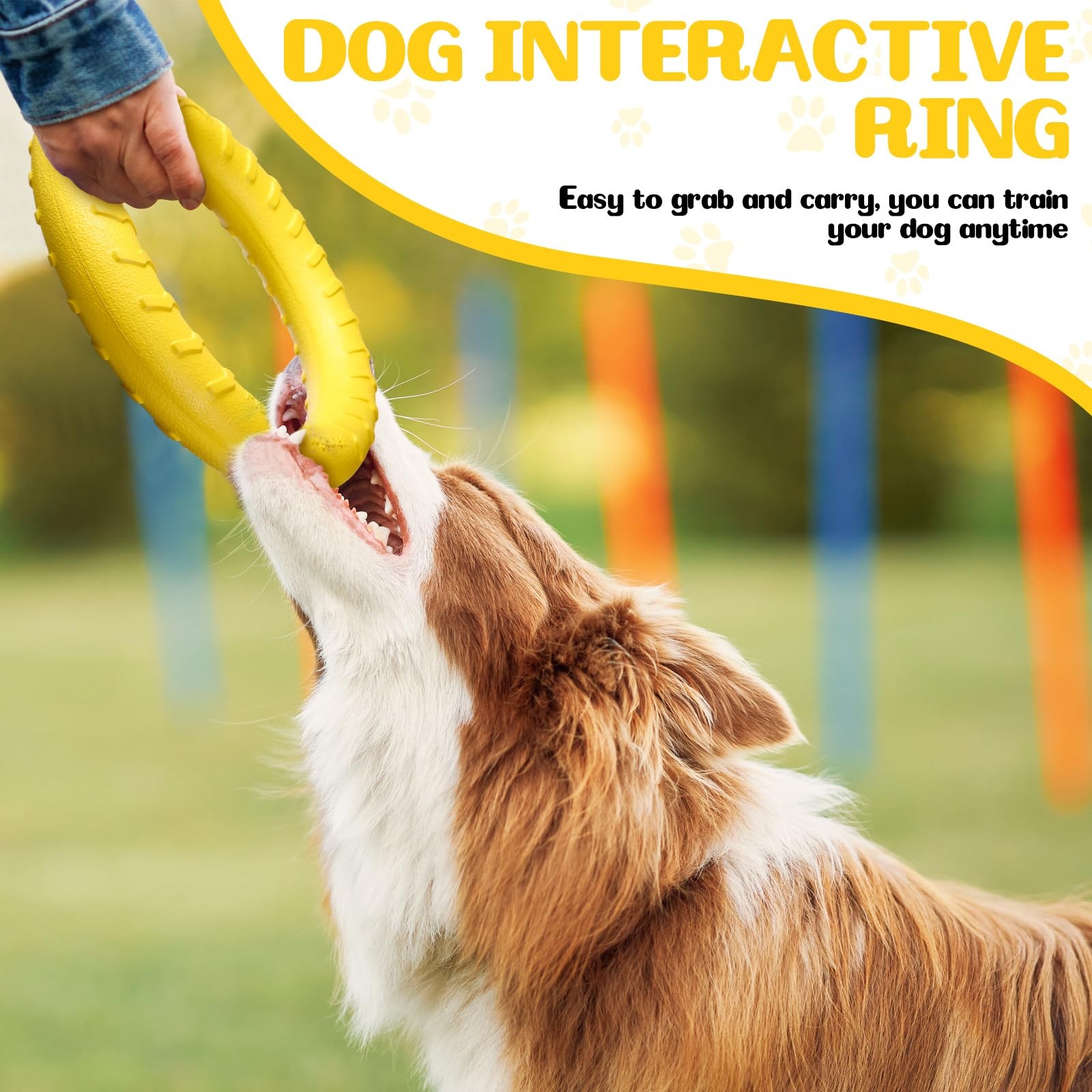 4Pack Dog Ring Chew Toy 11.8in Durable Floating Fetch Toy for Large/Medium