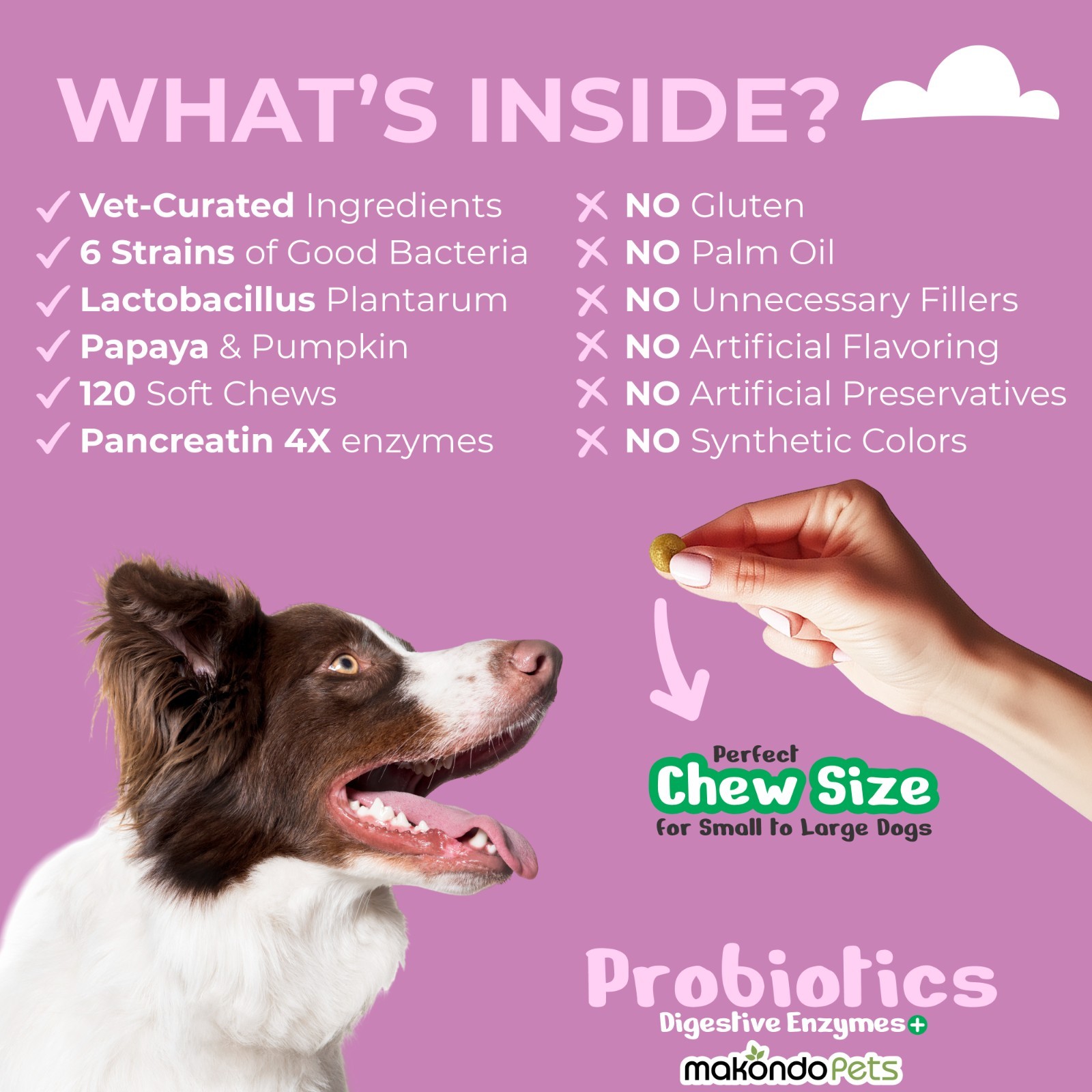Dog Probiotics – 120 Soft Chews – Digestive Enzymes Supplement for Gut Health