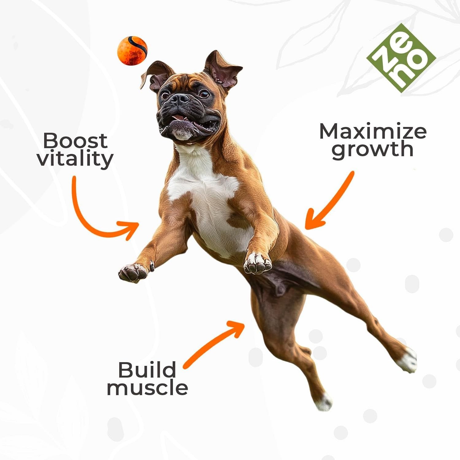 ZENO 11-in-1 Muscle Gain Chews – Weight Supplements for Dogs with High…