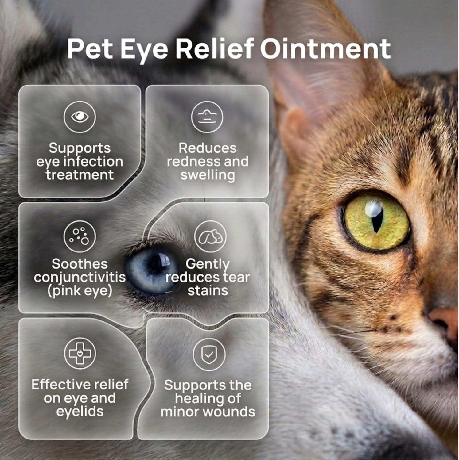 Pet Eye Cream – Vet-Formulated Dog Eye Infection Treatment, Pink Eye Relief, Con