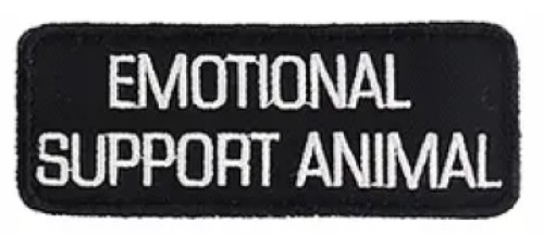 Vest Patches: Service Dog | Therapy | ESA Support Dog | PTSD | ALL ACCESS CANINE