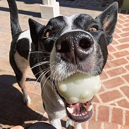 Jolly Pets Jumper Ball Glow In The Dark 4 inch Erratic Rubber Dog Treat Toy