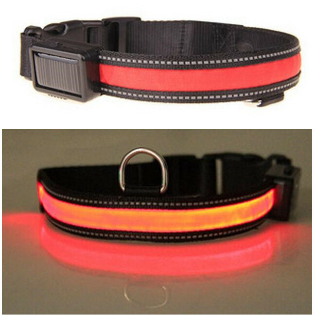 Nylon Dog Collar LED Solar Charging & USB Rechargeable Safety Glow 2 Light Modes