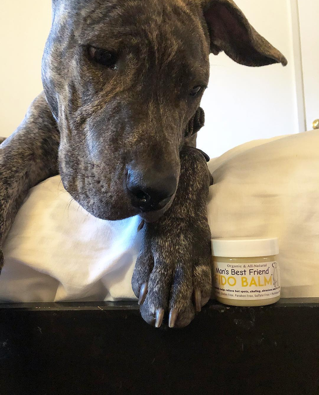 Dog Skin Care Products Hot spot & Dry Itchy Skin Relief Organic & All Natural
