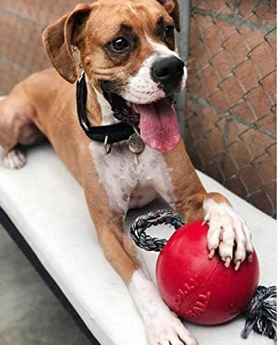 Jolly Pets Romp-n-Roll 6 inch Red Rubber Ball with Rope for Dogs