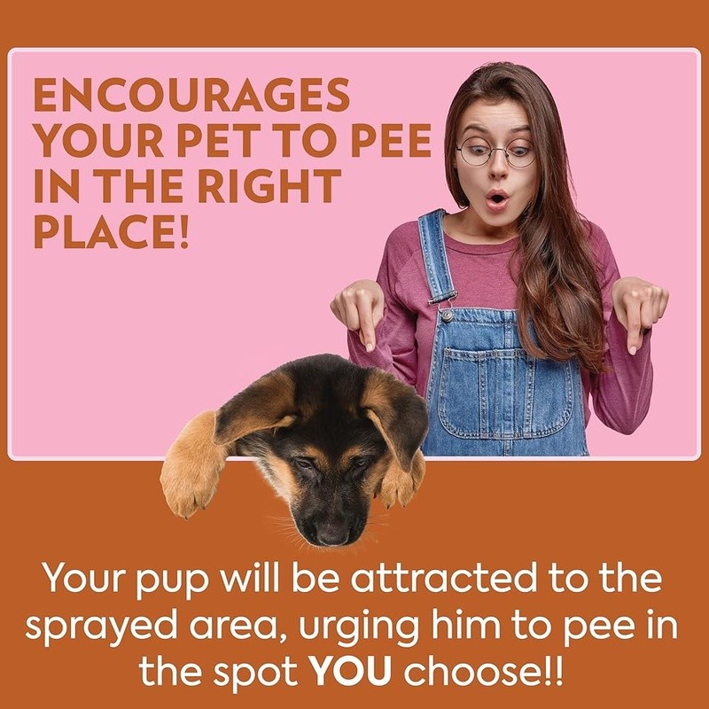 Dog Potty Training Spray Indoor Outdoor Attractant Easy Use Housetraining 32oz