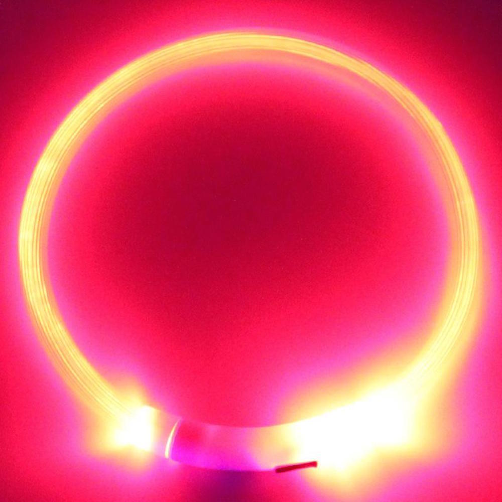 RECHARGEABLE LED Light-up Flash GLOW COLLAR Dog Pet Safety MICRO USB adjustable