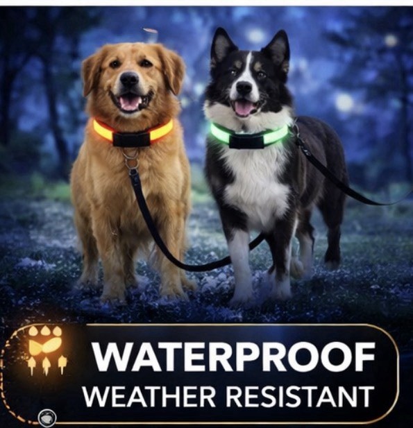 LED Dog Collar USB Rechargeable Waterproof Light Up for Night Safety