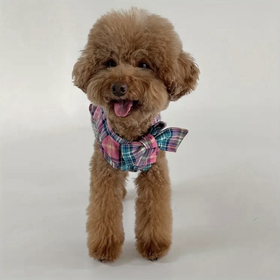 Plaid Flannel Dog Dress With Bow, Super Cute!