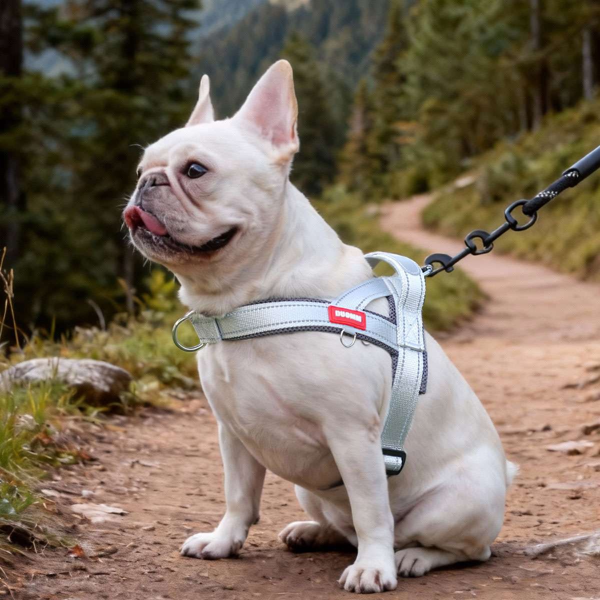 Dog Pet Vest Harness No Pull w/ Handle Adjustable Control Harness Reflective