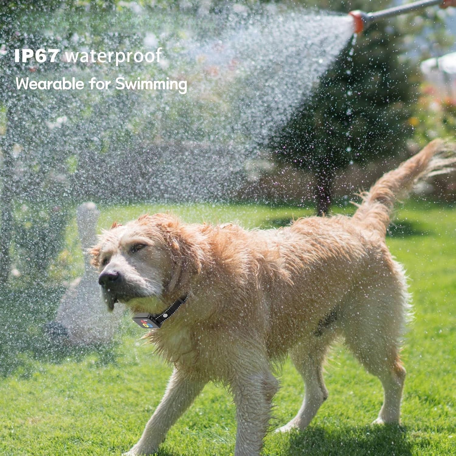 3300FT Dog Shock Collar -Dog Training Collar with Remote Rechargeable Waterproof