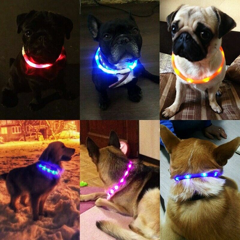 SOFT SILICONE LED FLASH dot LIGHT-UP glow el USB rechargeable Pet Dog Cat COLLAR