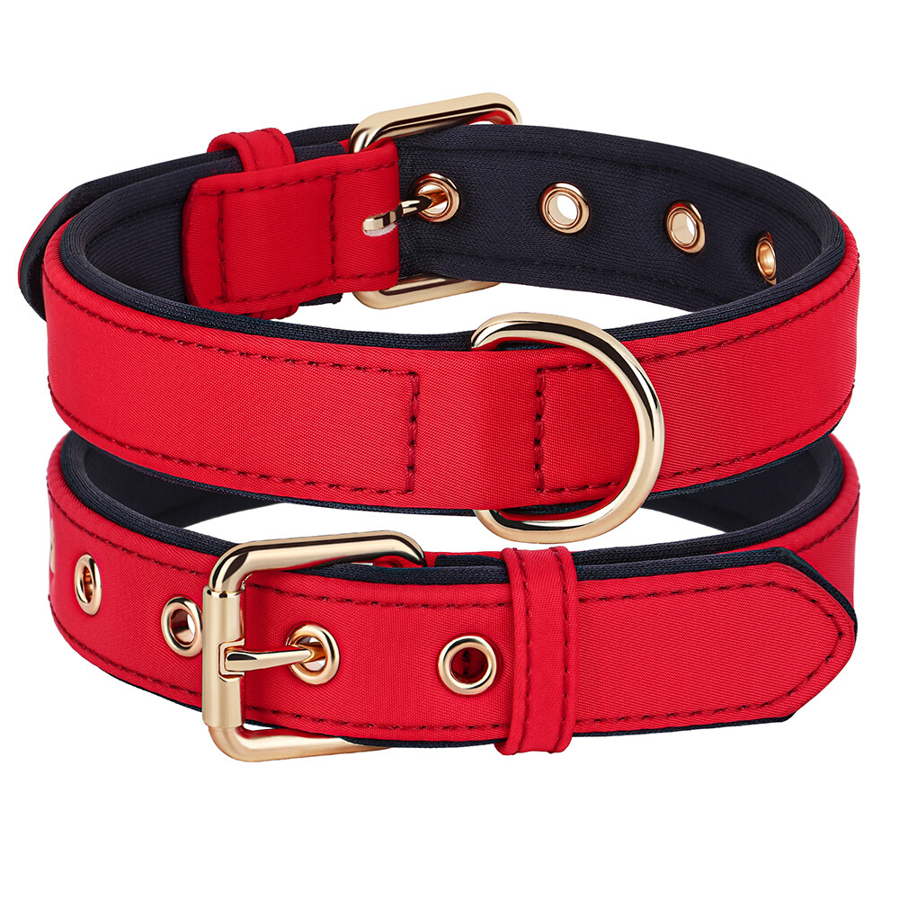 Personalized Nylon Dog Collar Custom Name Phone Print Soft Padded Adjustable S-L