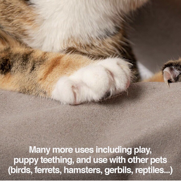 PetFusion Multipurpose Gloves for Grooming And Handling All Types Of Pets