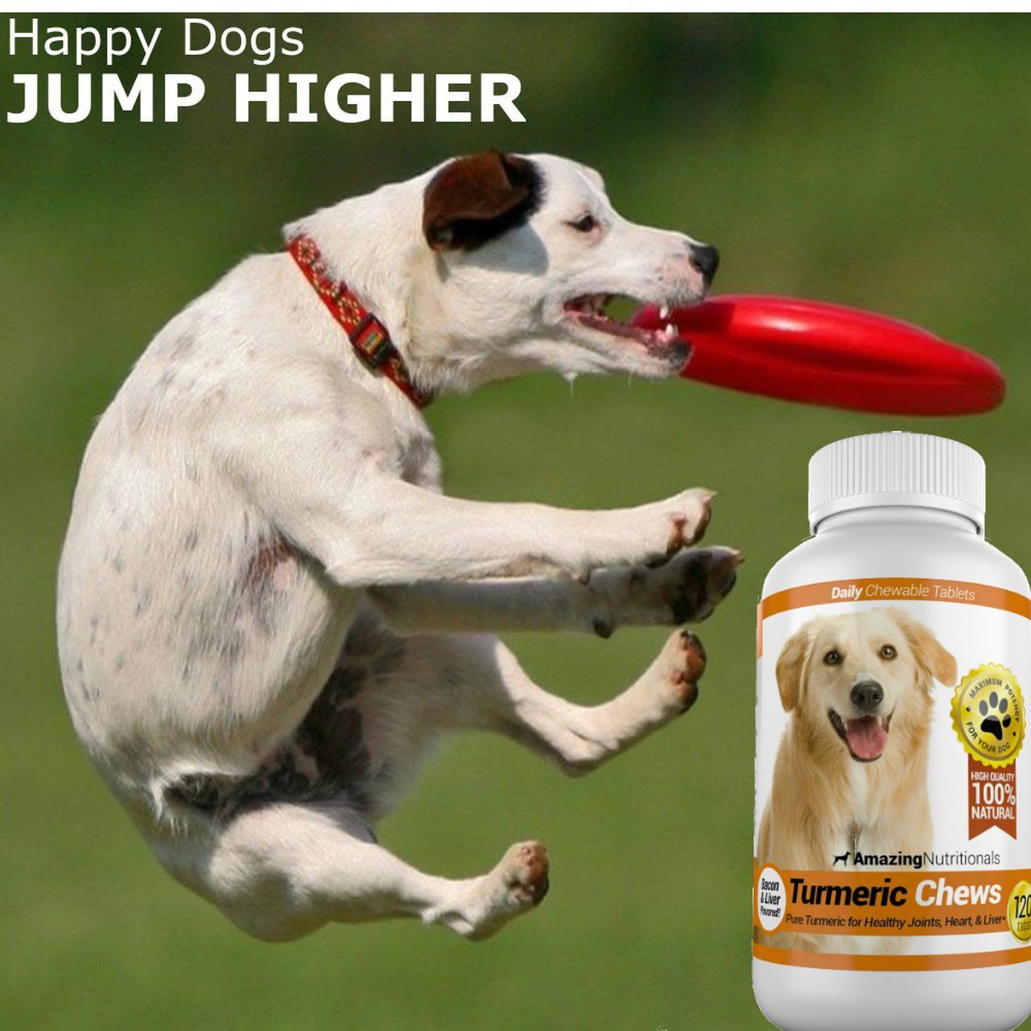 Amazing Turmeric for Dogs Curcumin Pet Antioxidant, Eliminates Joint Pain Inf…