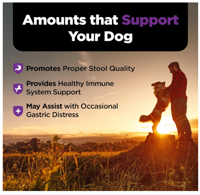 Nutri-Vet Pre and Probiotic for Dogs Digestive Health Support 120 Soft Chews NEW