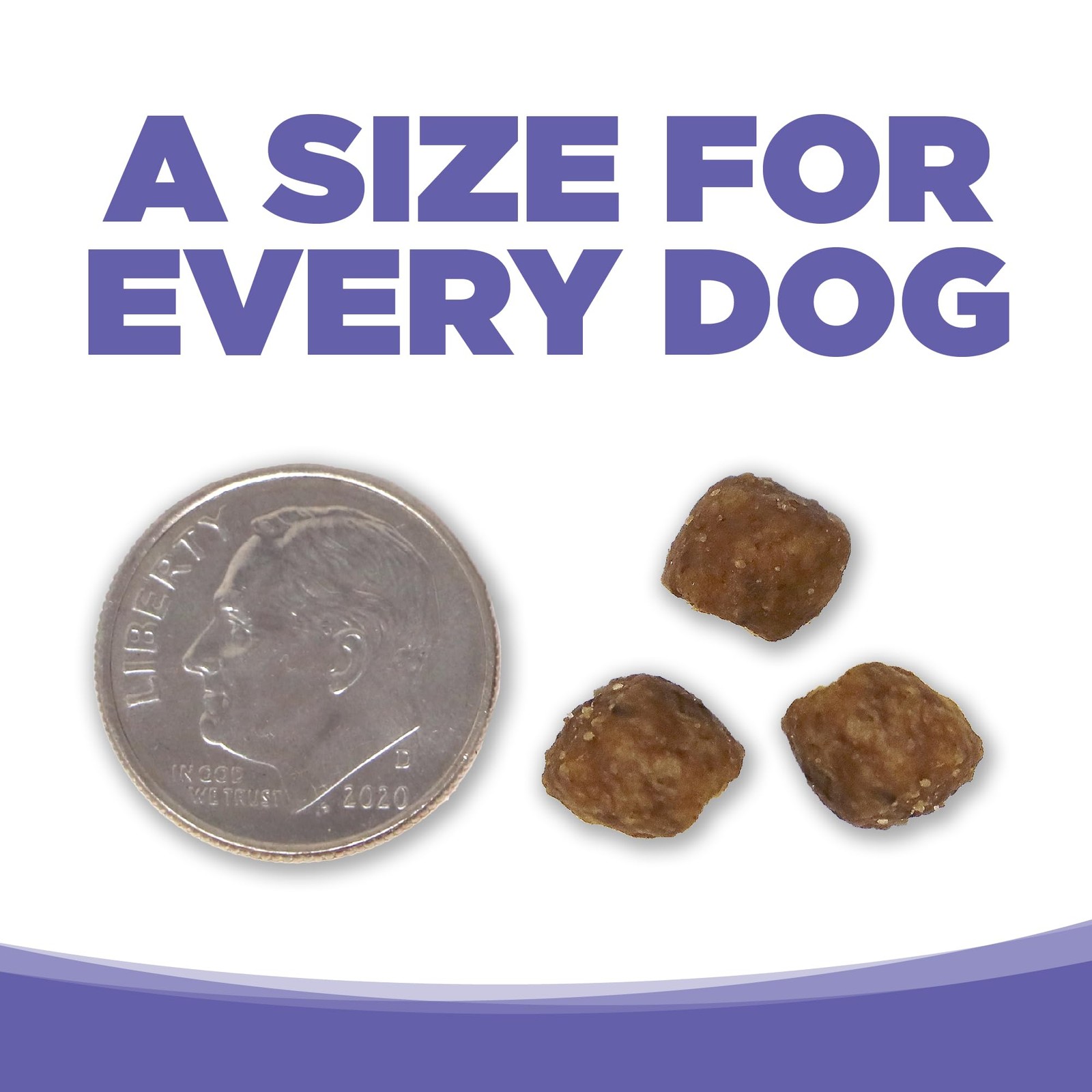 NutriSource Small & Medium Breed Puppy Dry Dog 4 Pound (Pack of 1), Brown