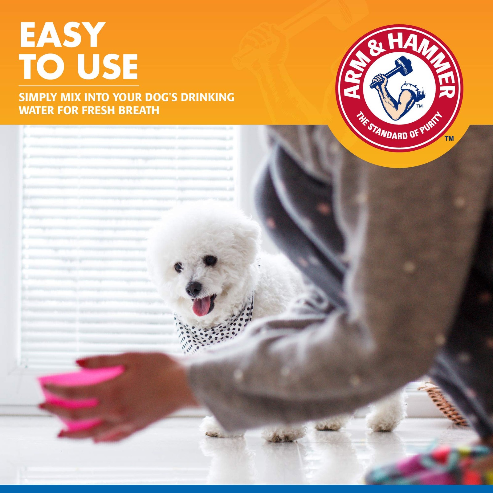 Arm & Hammer Dog Water Additive for Dental Care – Bad 16 Fl Oz (Pack of 1)