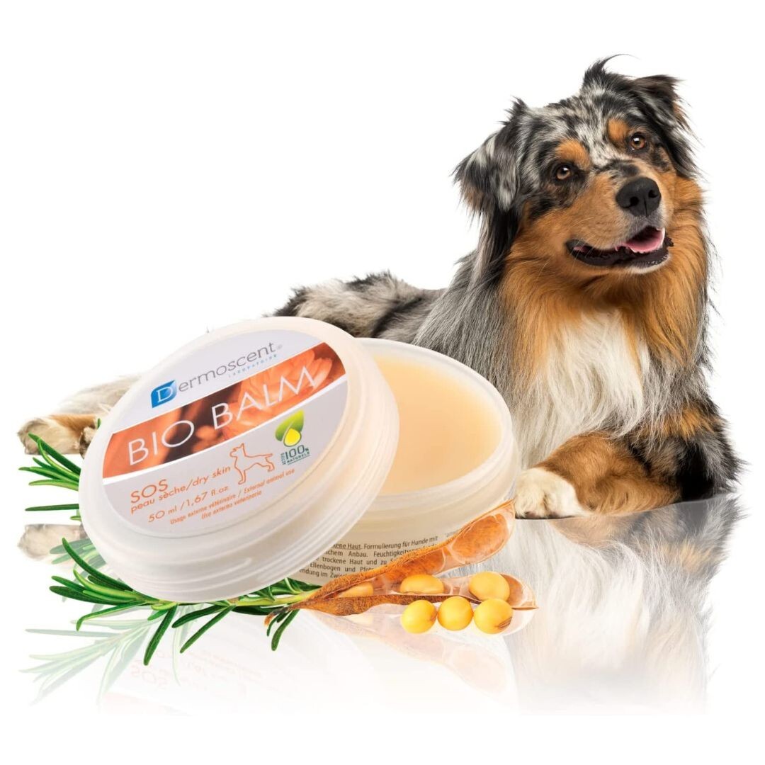 Bio Balm dog moisturizing cream irritation repairing paw pads SOS dry skin 50ml