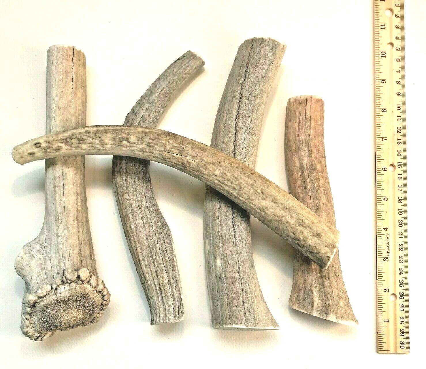 BEST VALUE! 2 POUNDS of Seasoned Deer & Elk- Whole Antler Dog Chews – Jumbo & XL