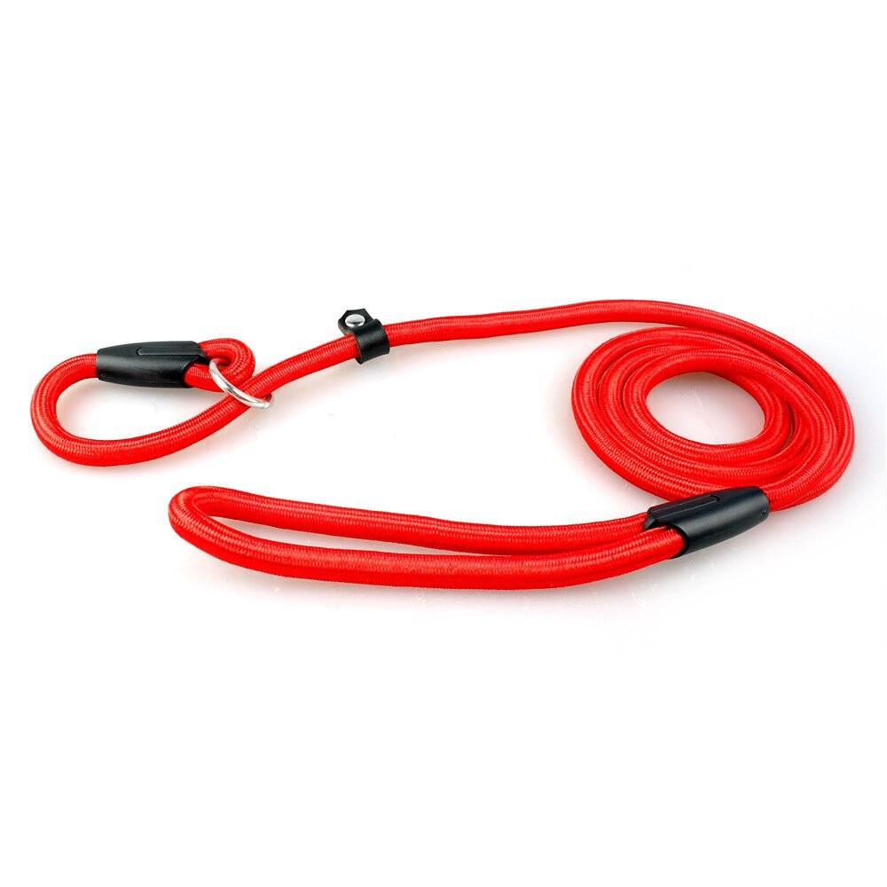 4ft Dog Nylon Adjustable Loop Slip Rope Leash Lead Training Choke Pet Collar USA