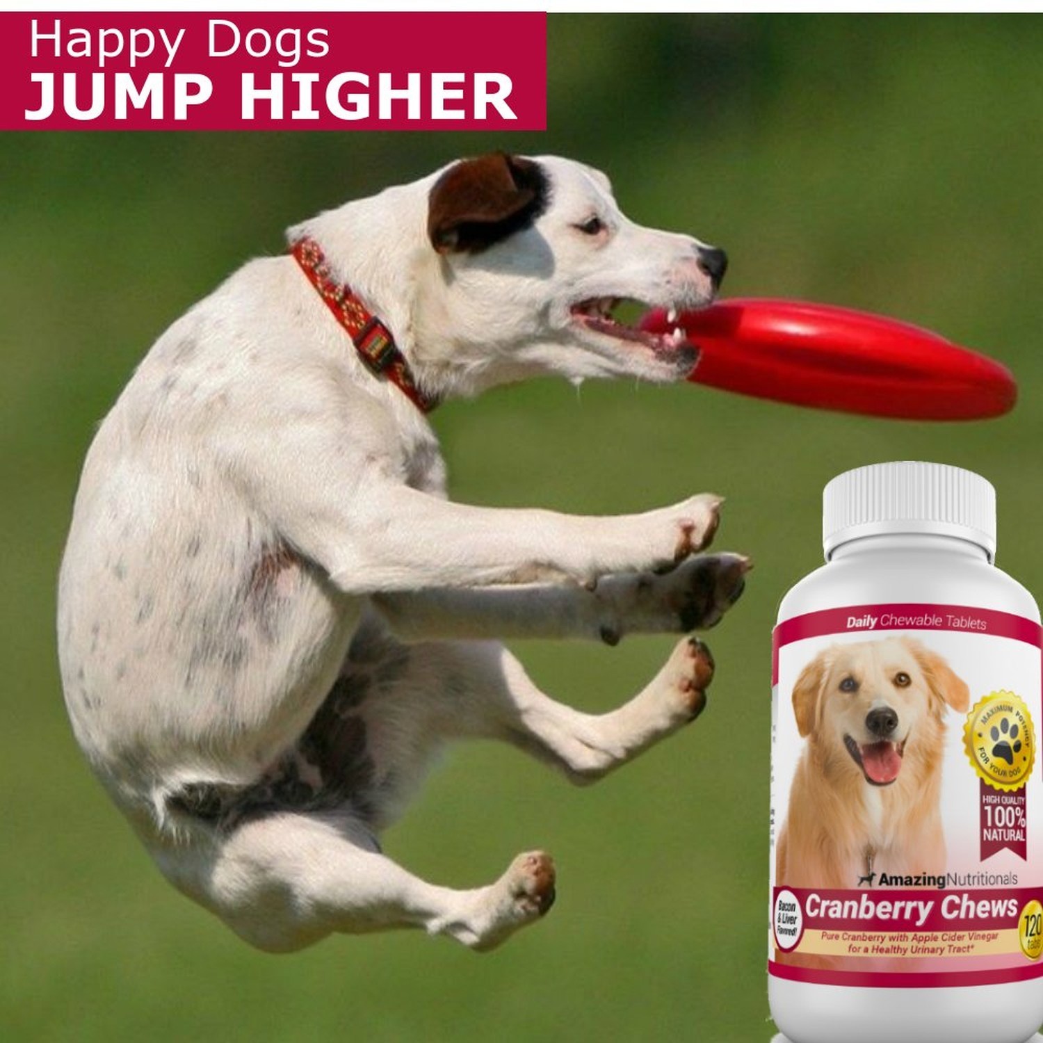 Amazing Cranberry for Dogs – Eliminates UTI Pain, Tasty Bacon Flavored Chews