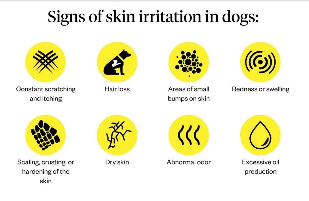 SKIN IRRITATION CREAM FOR PETS (4 Oz- Made in USA) Dogs and cats
