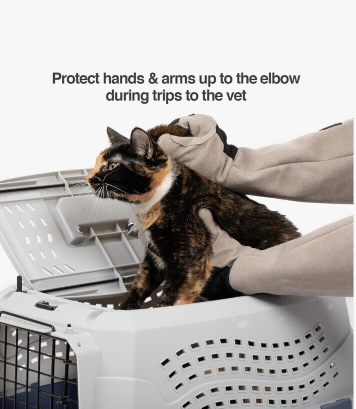 PetFusion Multipurpose Gloves for Grooming And Handling All Types Of Pets