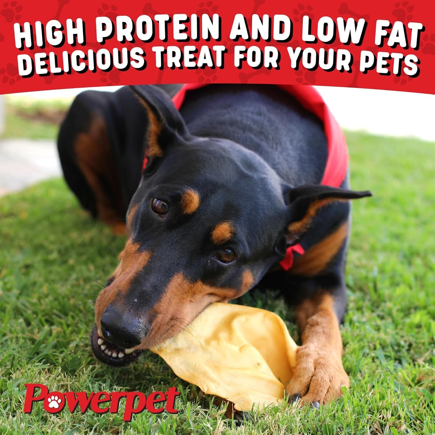 ALL NATURAL Beef SMOKED Cow Ears DOG Treats 25CT- FDA & USDA APPROVED-