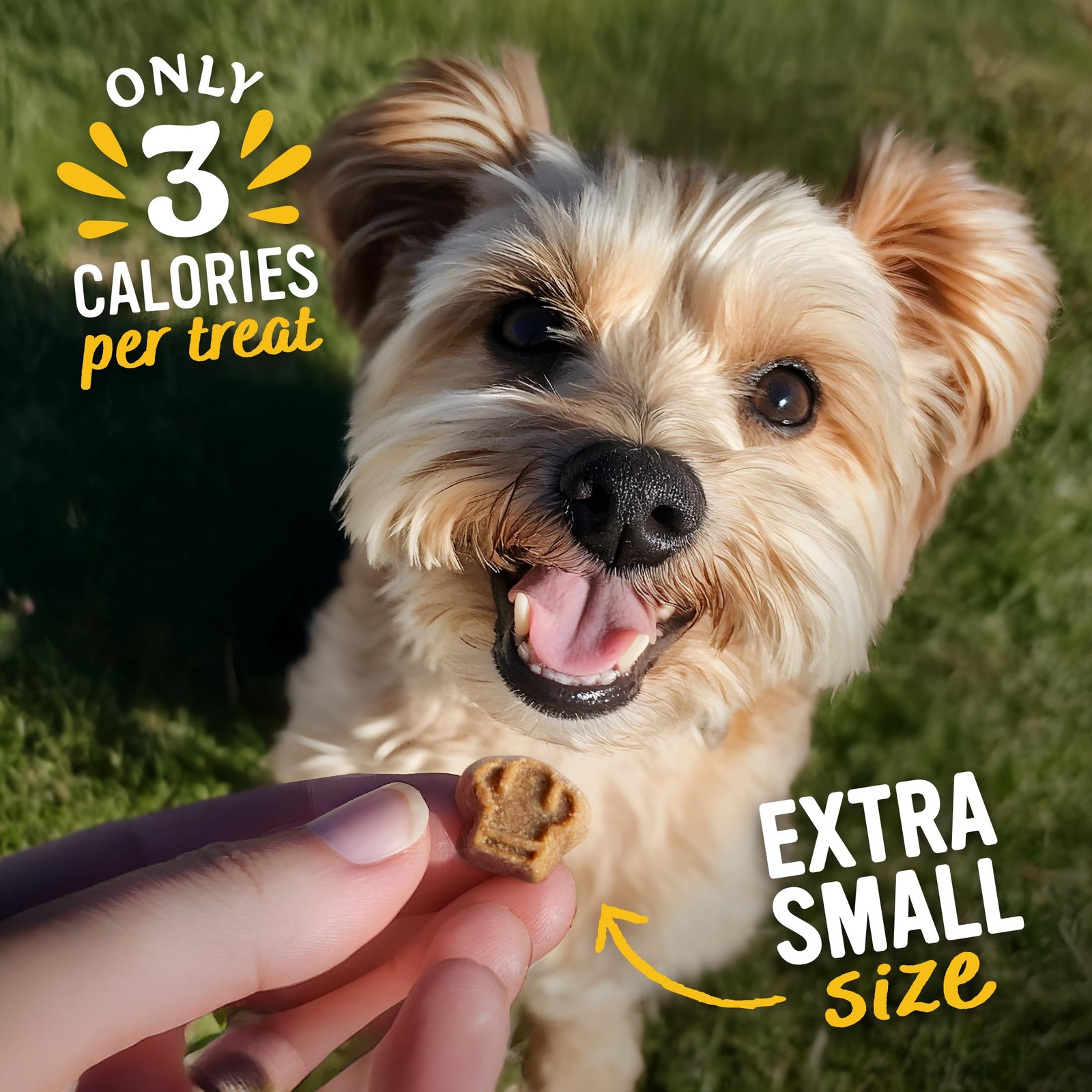 Blue Dog Bakery Natural Dog Treats, Perfect Trainers, Low Calorie Dog Training