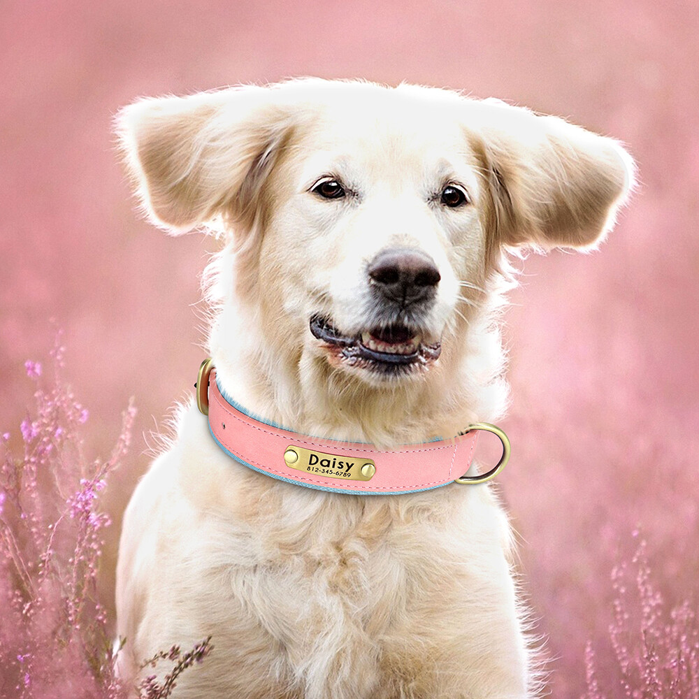 PERSONALIZED Soft Leather Dog Collar Custom Puppy Cat Name Free Engraved XS-XL