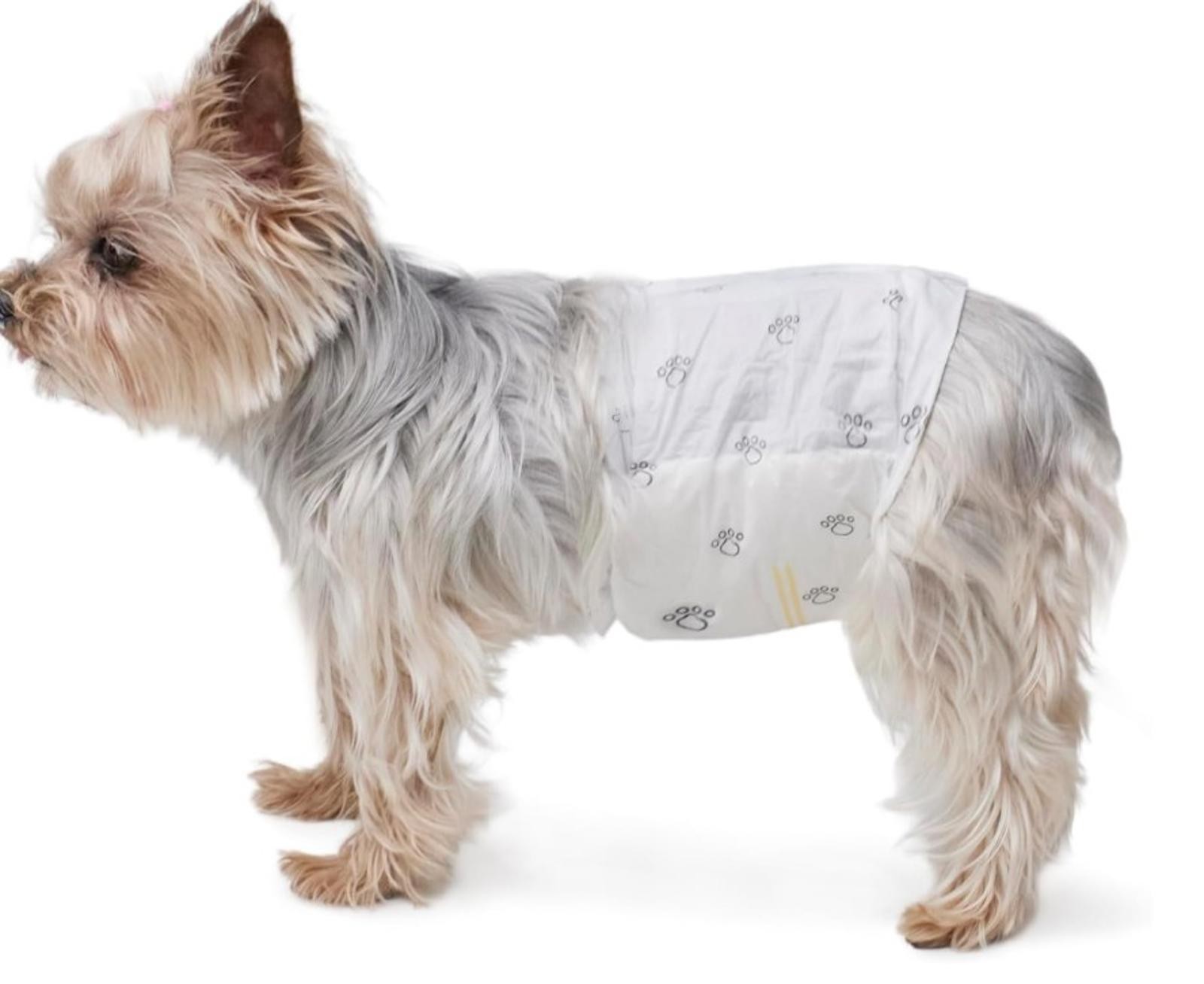 Male Dog Wraps, Disposable – Xtra -Small Pack of 30 count
