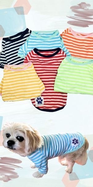 Dream Dog Small Breeds – Luxury Dog Summer Casual Striped Shirt T-Shirt Outfit,