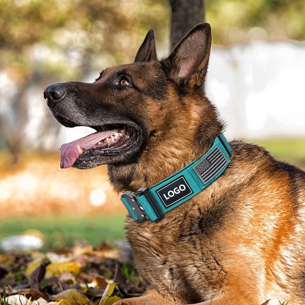 TSG Nylon Heavy Duty Dog Collar With Handle CanineTraining Walking