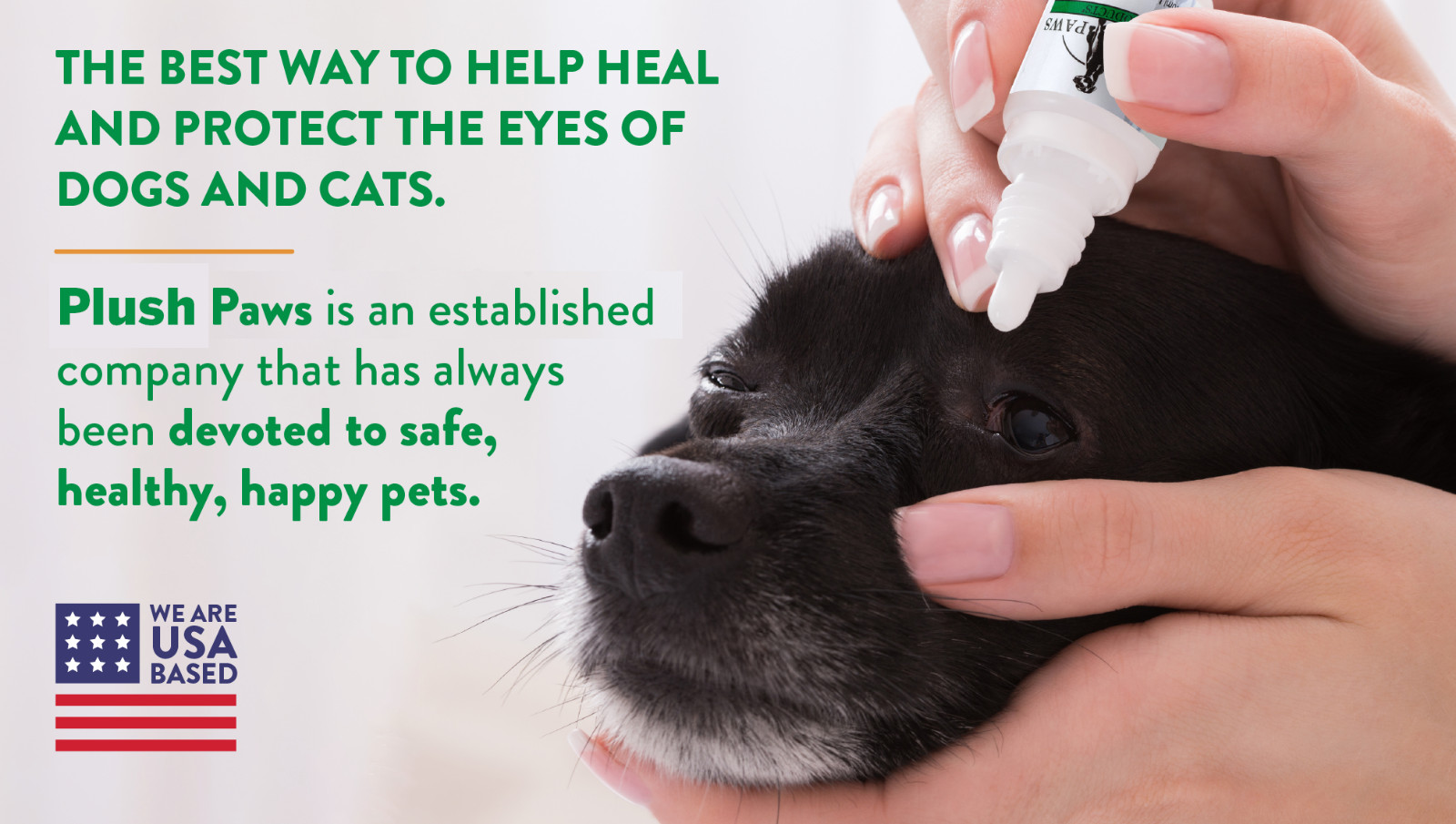 Plush Paws Lanosterol Solution + NAC, Dog Eye Care for Cataracts, Dryness Relief