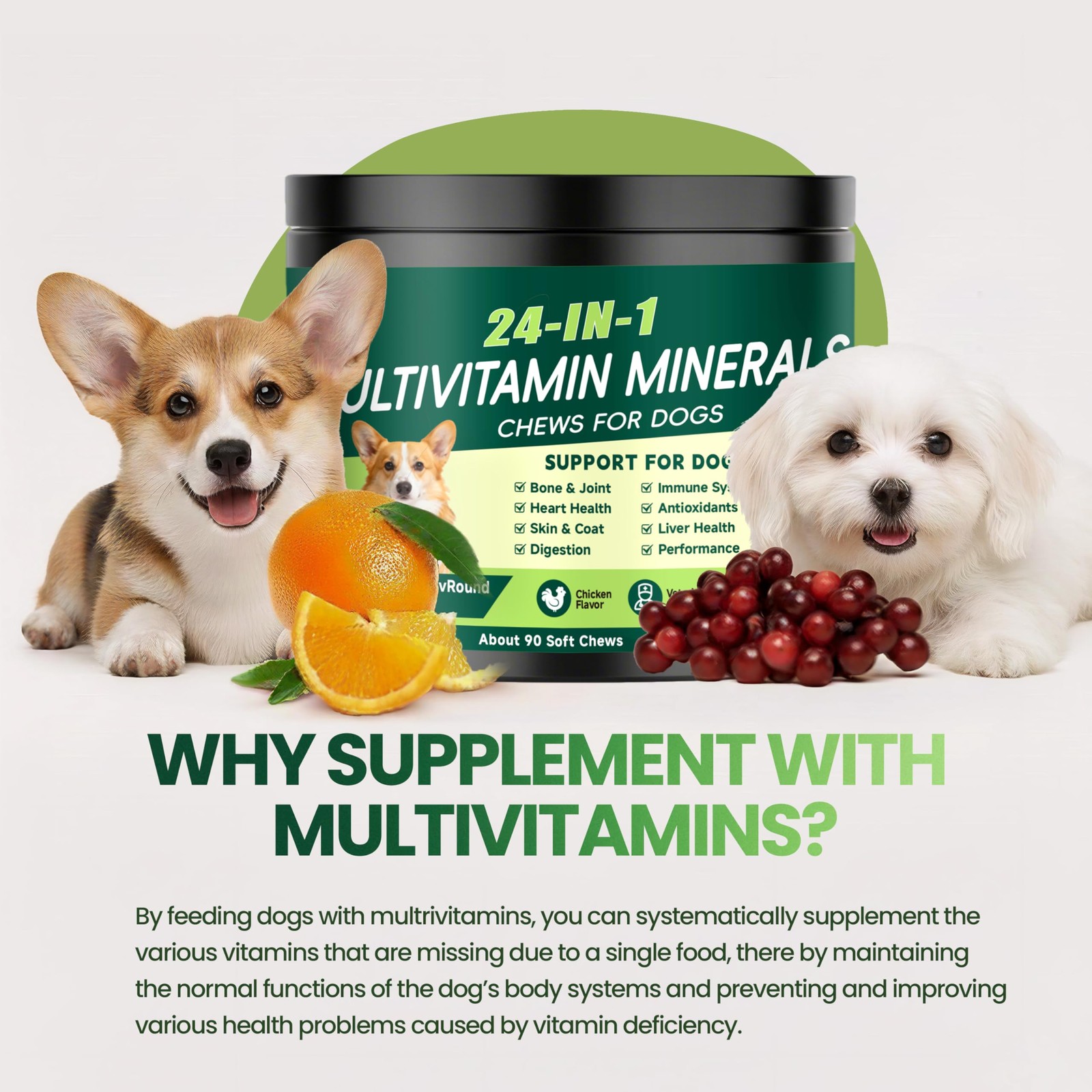24-in-1 Dog Vitamins and Supplements, Multivitamin Chewable for 90 Chews