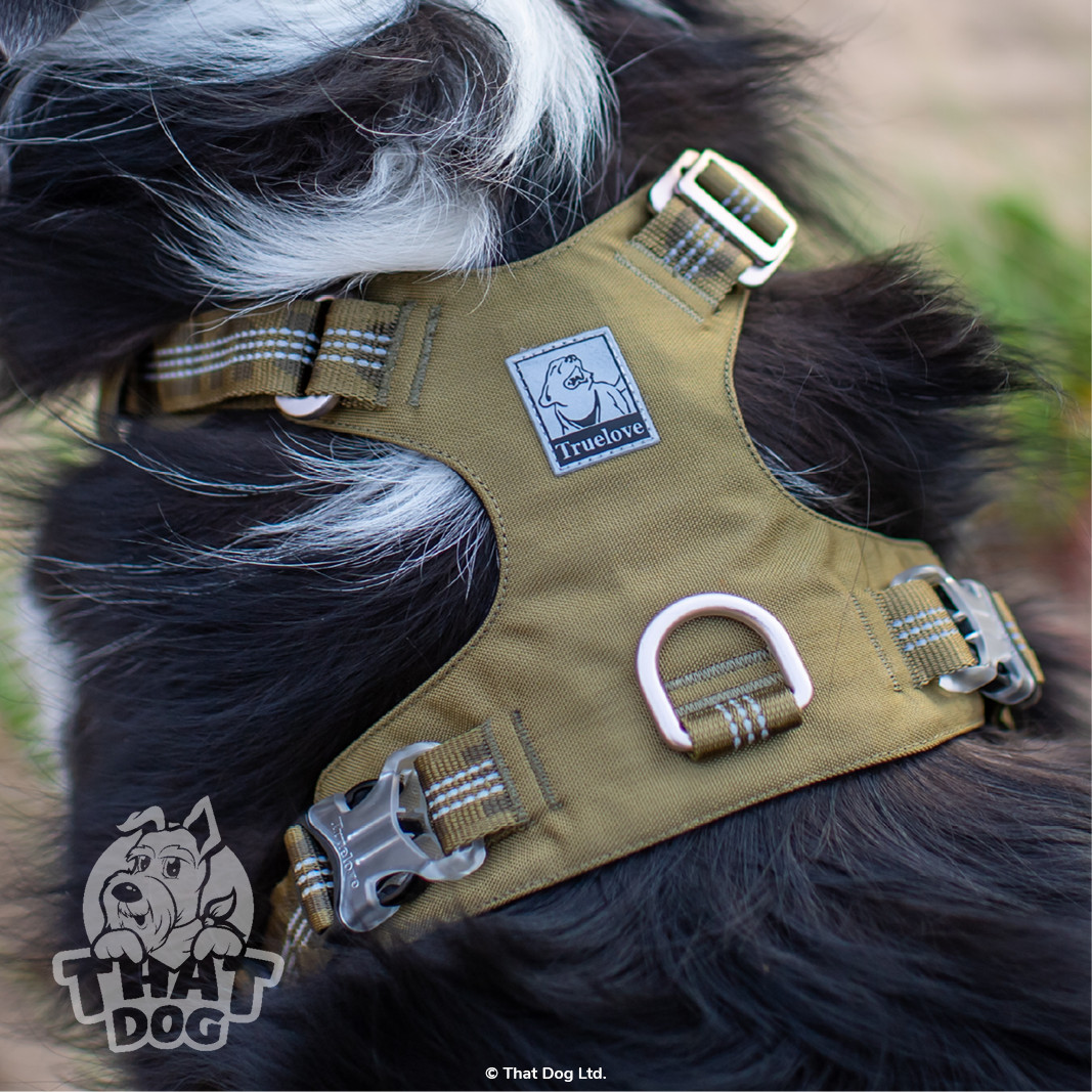 Dog Harness Truelove CORDURA Premium Lightweight Reflective XXS XS S M L XL