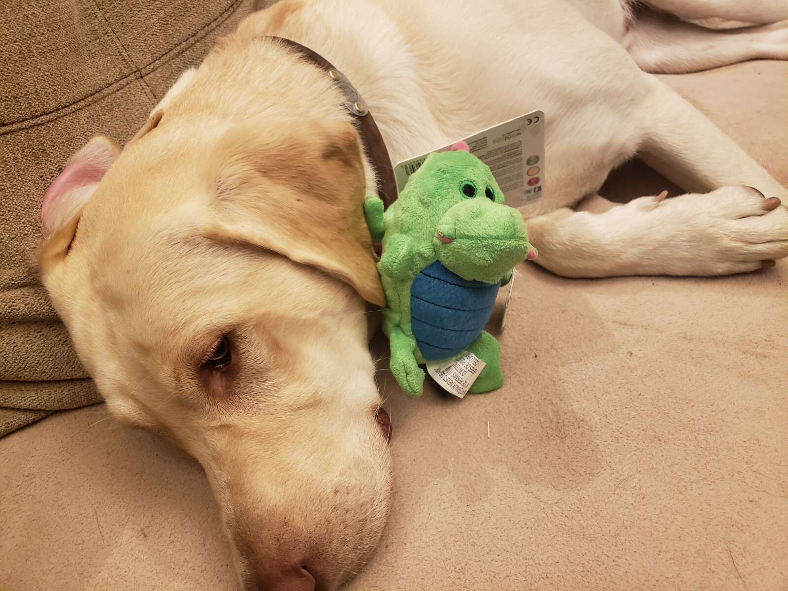 goDog Dragons Grunter Green Small Chew Guard Squeaker Plush Dog Toy 773030