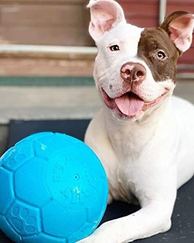 Jolly Pets Large Soccer Ball Floating-Bouncing Dog Toy, 8 inch Diameter, Ocea…