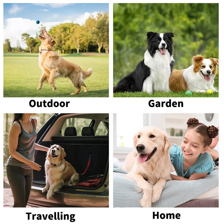 Pet Grooming Gloves Wet Wipes For Dogs And Cats Dog Cleaning Glove Wipes
