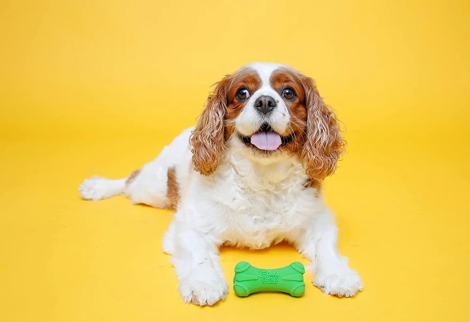 Bone Squeaky Latex Dog Toy for Medium Breeds, 3 Pack
