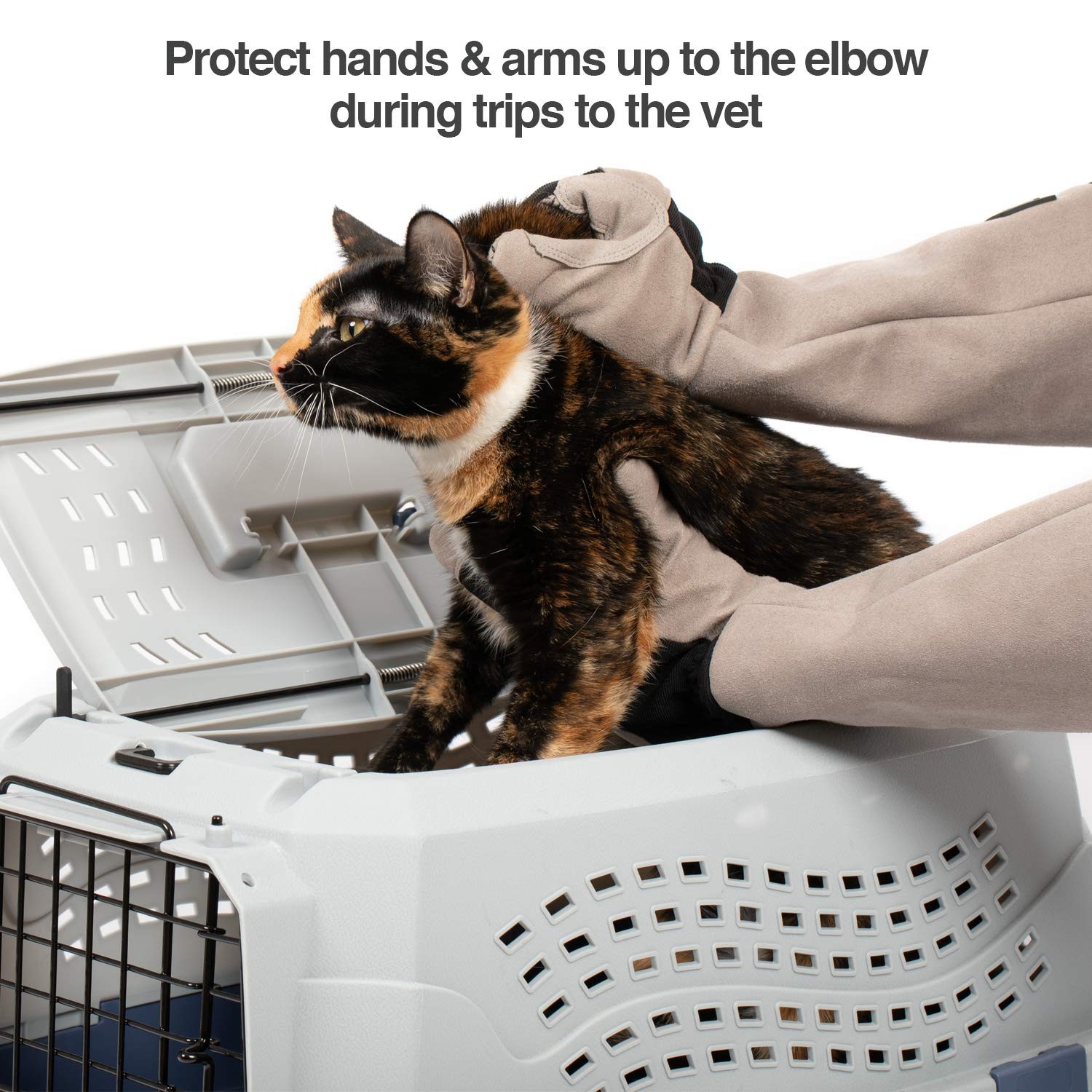 Multipurpose Pet Grooming Glove – Scratch & Water Resistant, 12-Month Warranty