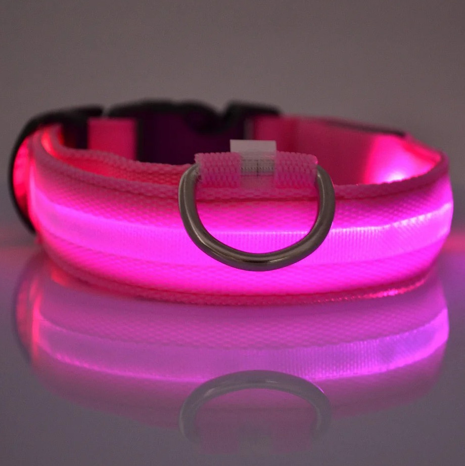 LED Flashing Dog Leash & Luminous Collar Nylon Night Safety Glow Pet Lead