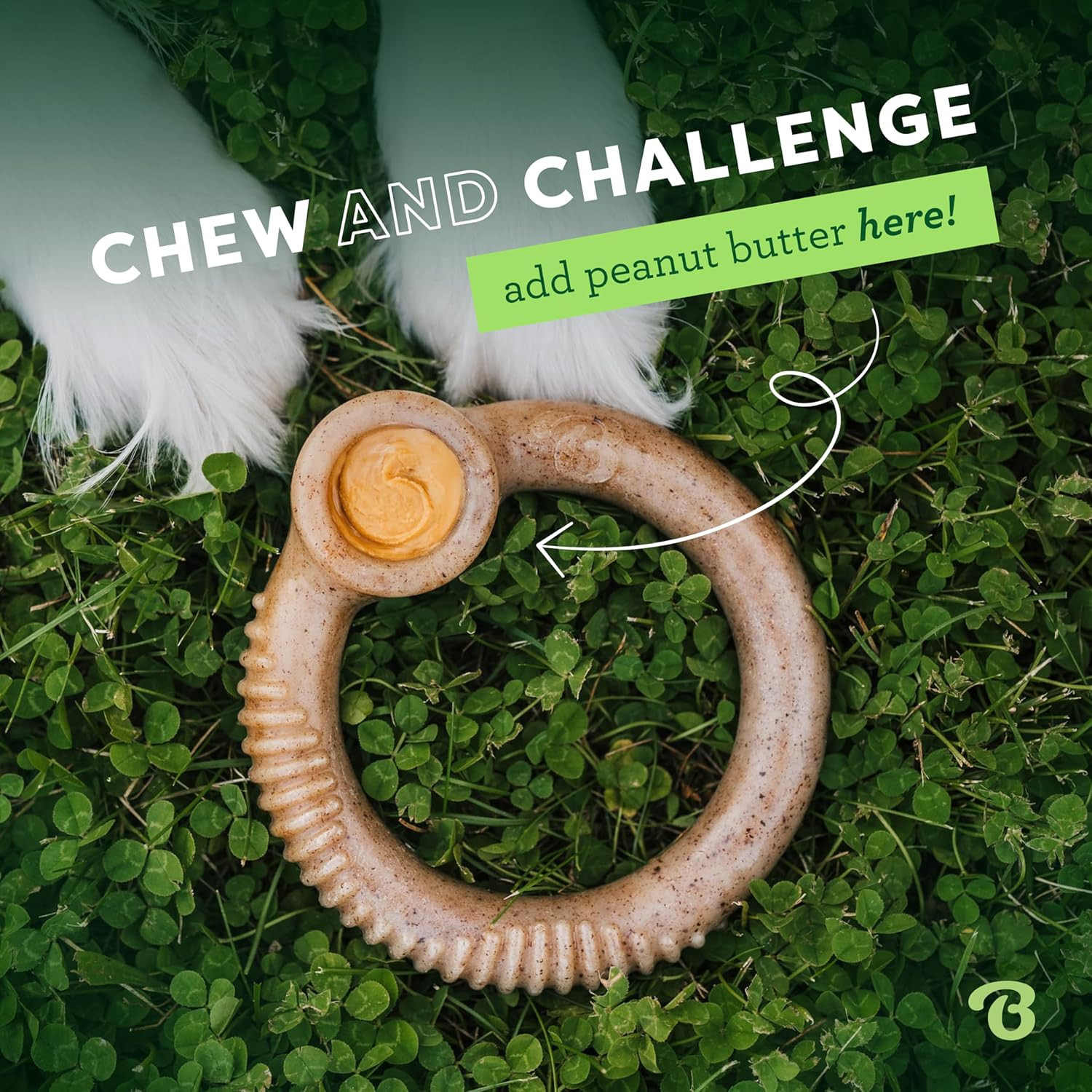 Benebone Ring Durable Dog Chew Toy for Aggressive Chewers, Real Bacon, Made in U