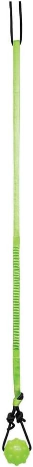 Jolly Pets Tree Tugger Interactive Dog Toy For Solo Playtime Green Bungee Ball
